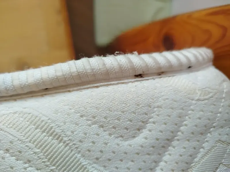 Tmavé výkaly ploštíc na okraji matraca